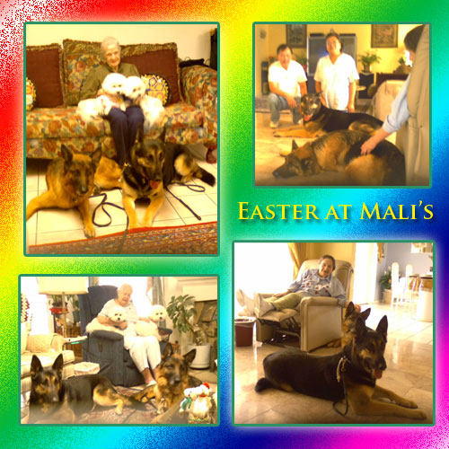 easter mali