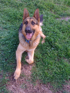 Duke 2